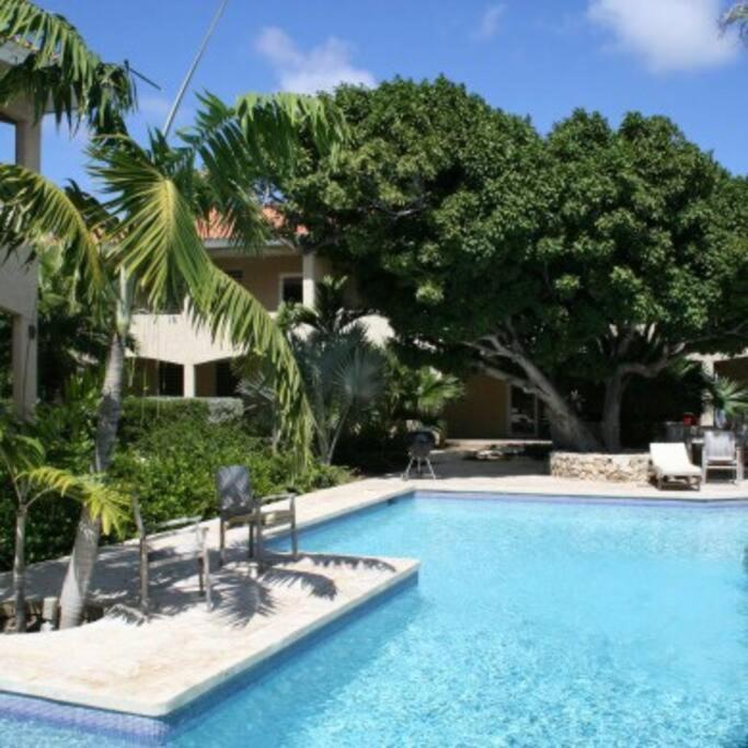 شقة Caribbean Happyness يلمستاد المظهر الخارجي الصورة